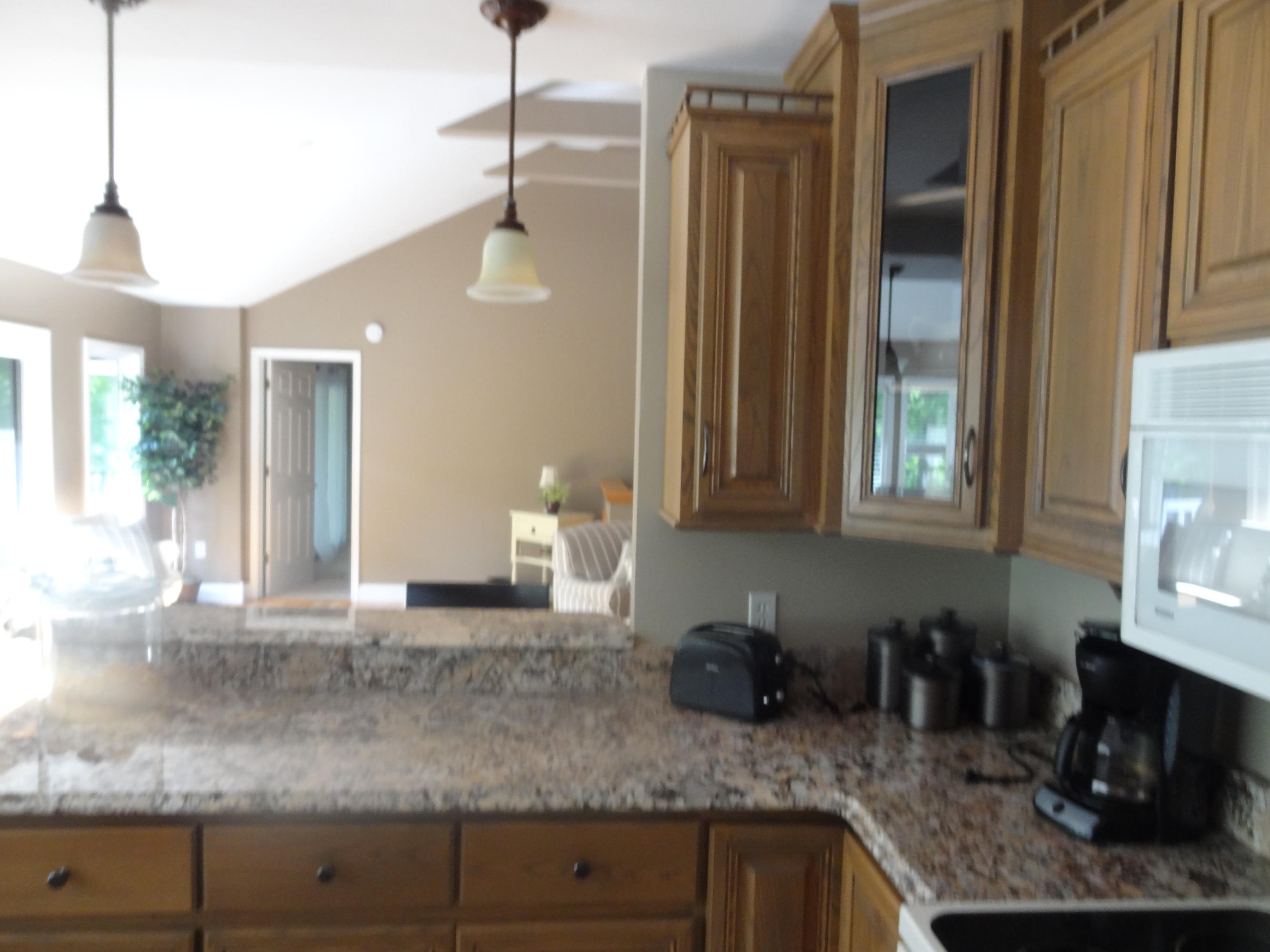 310 Woodbrook Road Moneta, VA 24121 - Photo 13 of 57 Kitchen/ Bar area