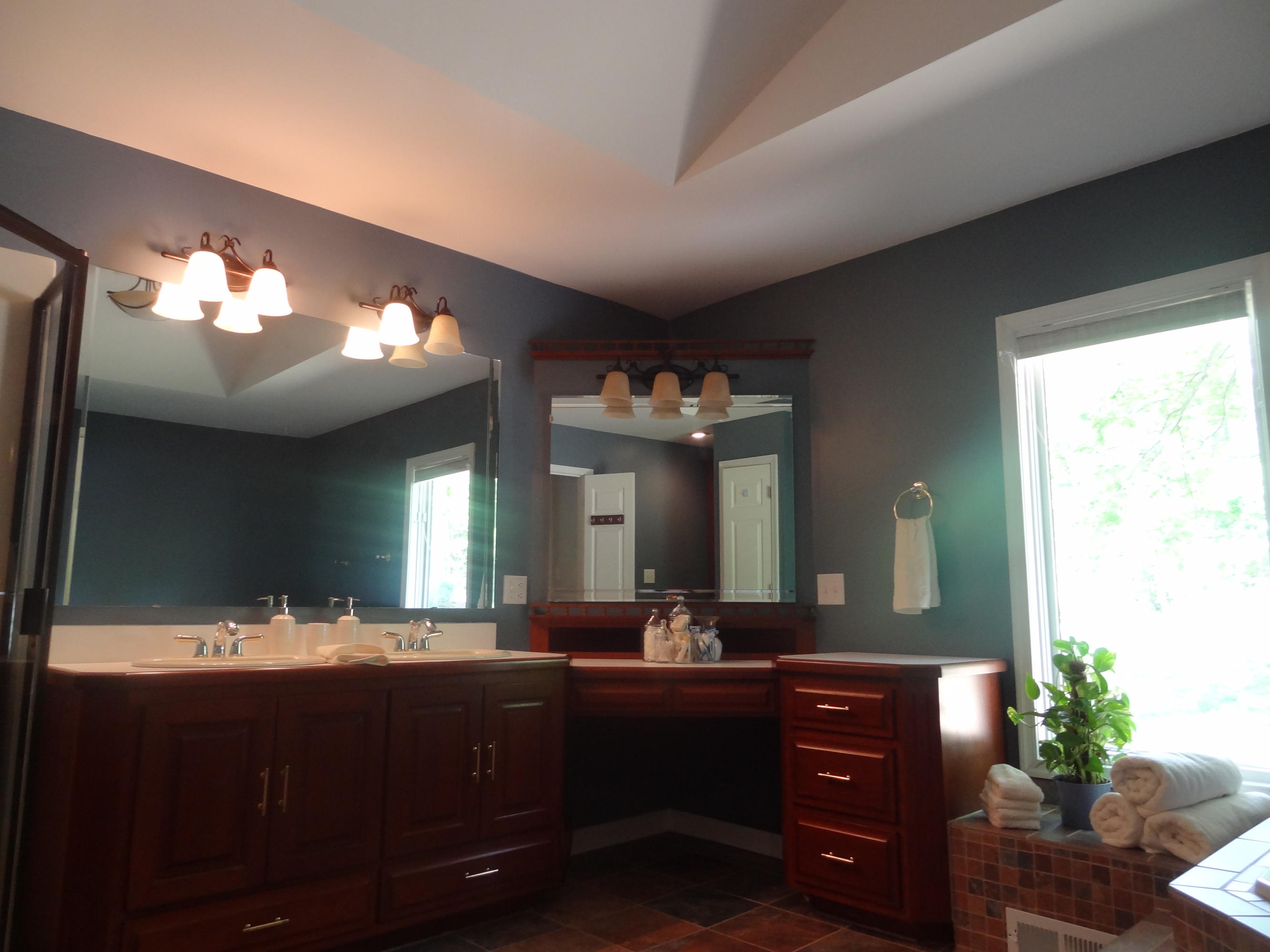 310 Woodbrook Road Moneta, VA 24121 - Photo 19 of 57 Master Bathroom