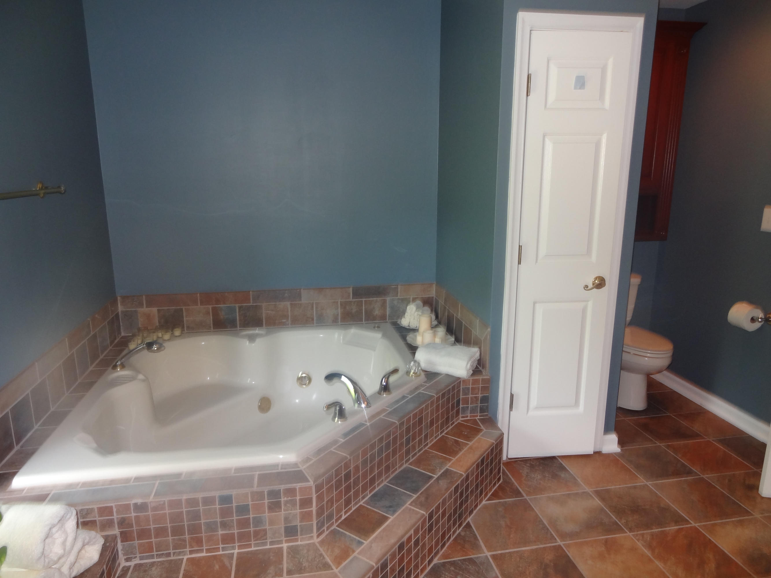 310 Woodbrook Road Moneta, VA 24121 - Photo 20 of 57 Master Bathroom