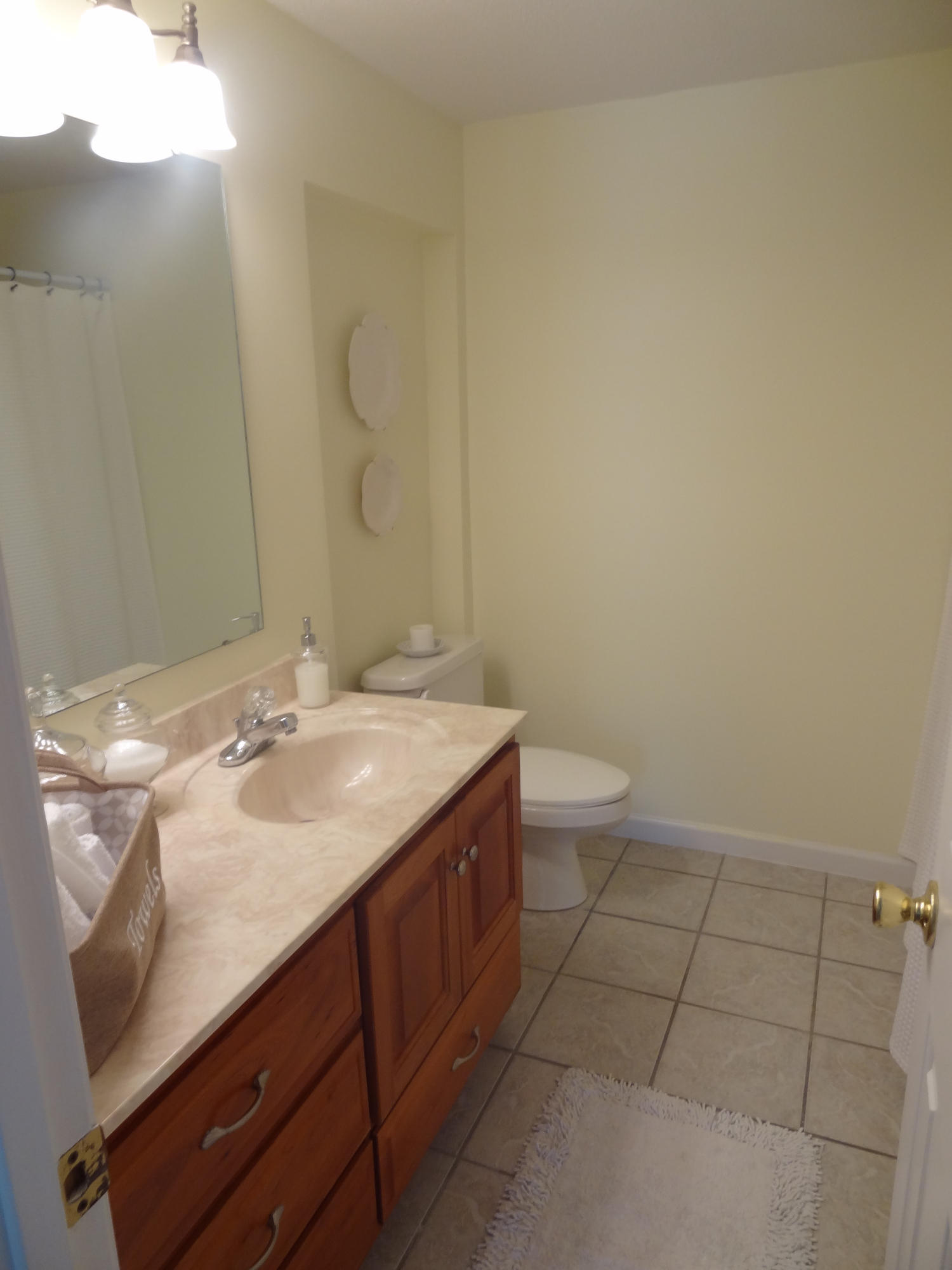 310 Woodbrook Road Moneta, VA 24121 - Photo 37 of 57 Bathroom 2 Lower
