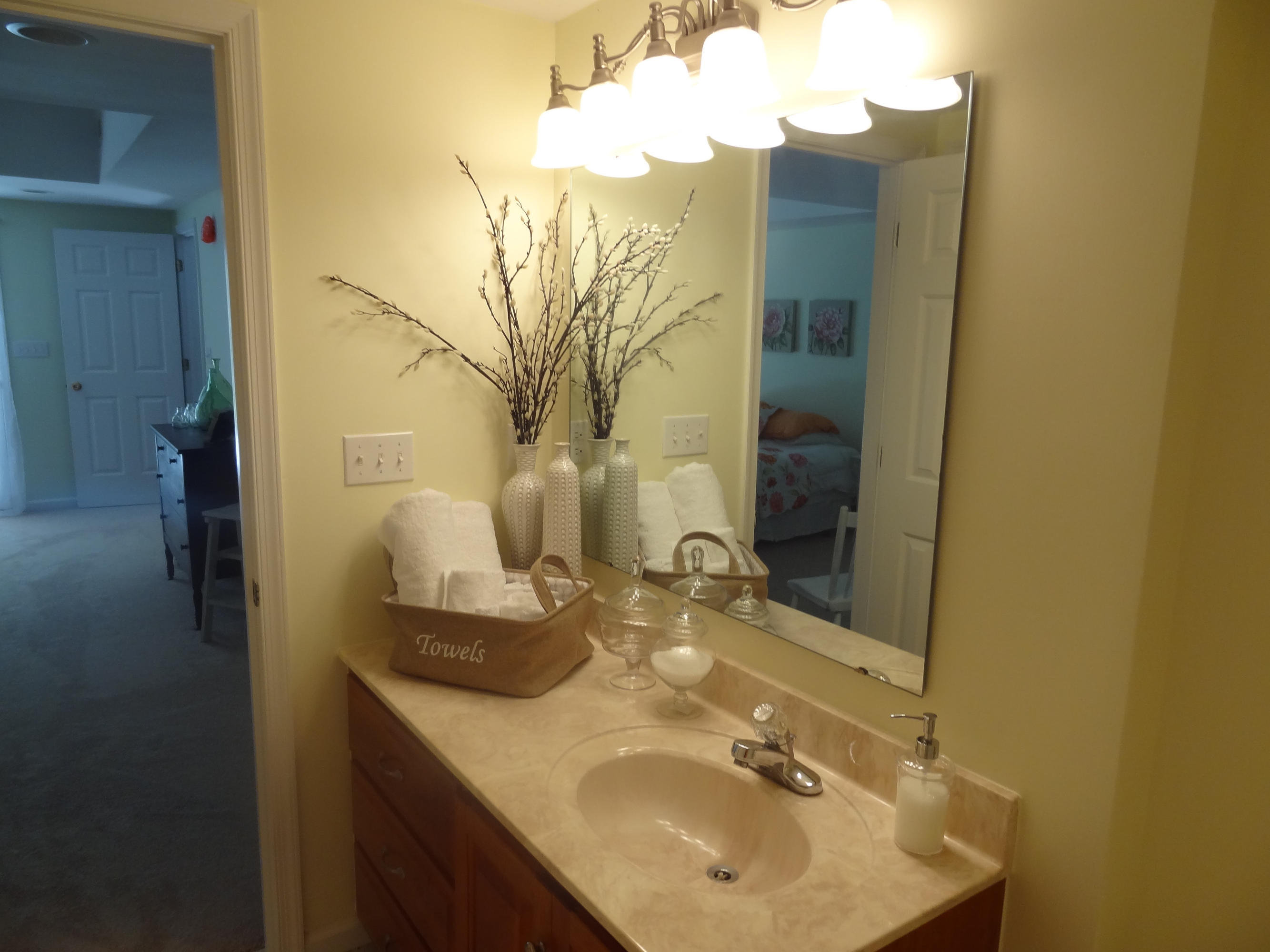 310 Woodbrook Road Moneta, VA 24121 - Photo 38 of 57 Bathroom 2 Lower
