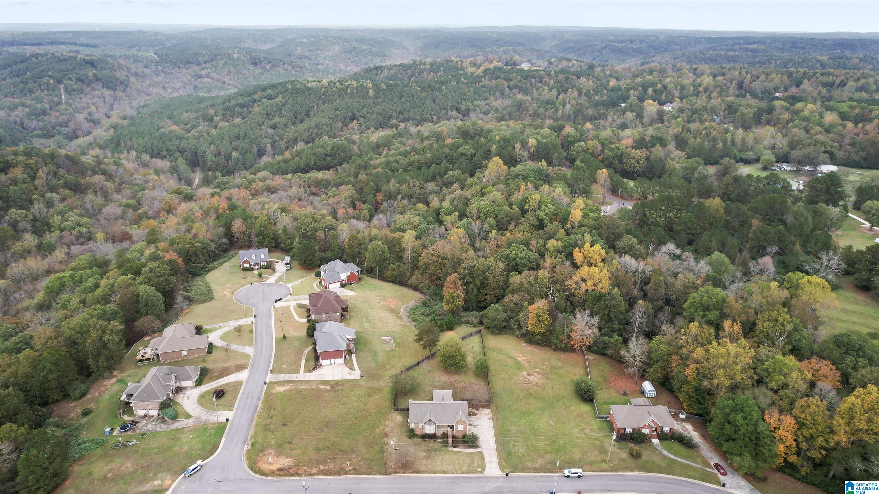7511 Chase Way Bessemer, AL 35023 - Photo 37 of 43
