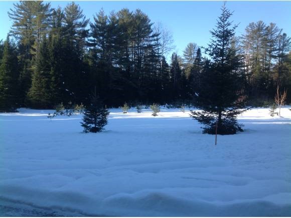 72 Granite Road Ossipee, NH 03864 - Photo 31 of 39