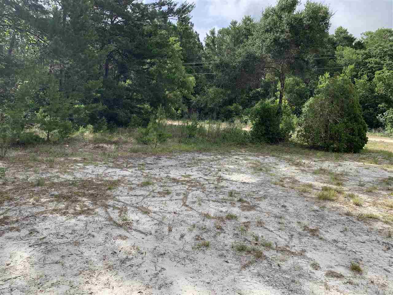 20828 Spoon Bill Road Perry, FL 32348 - Photo 1 of 7 Gallery Image 1