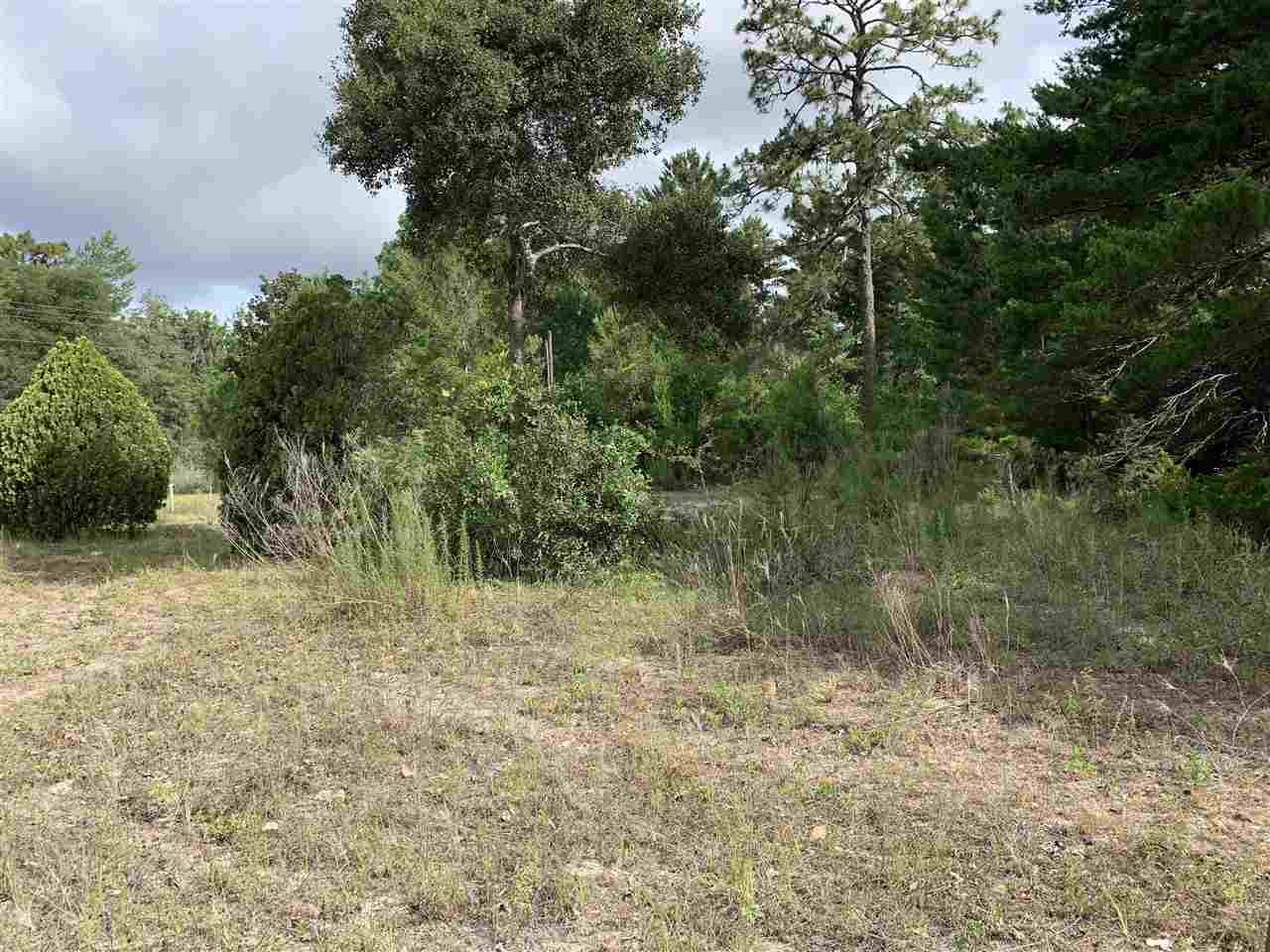 20828 Spoon Bill Road Perry, FL 32348 - Photo 4 of 7 Gallery Image 4