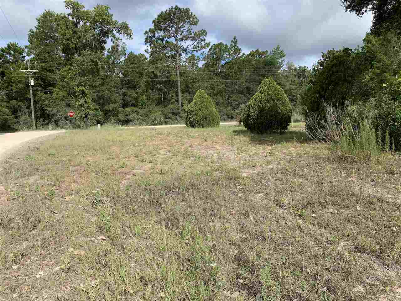 20828 Spoon Bill Road Perry, FL 32348 - Photo 5 of 7 Gallery Image 5