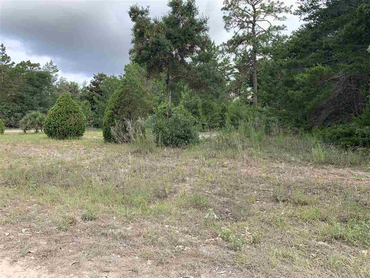 20828 Spoon Bill Road Perry, FL 32348 - Photo 6 of 7 Gallery Image 6