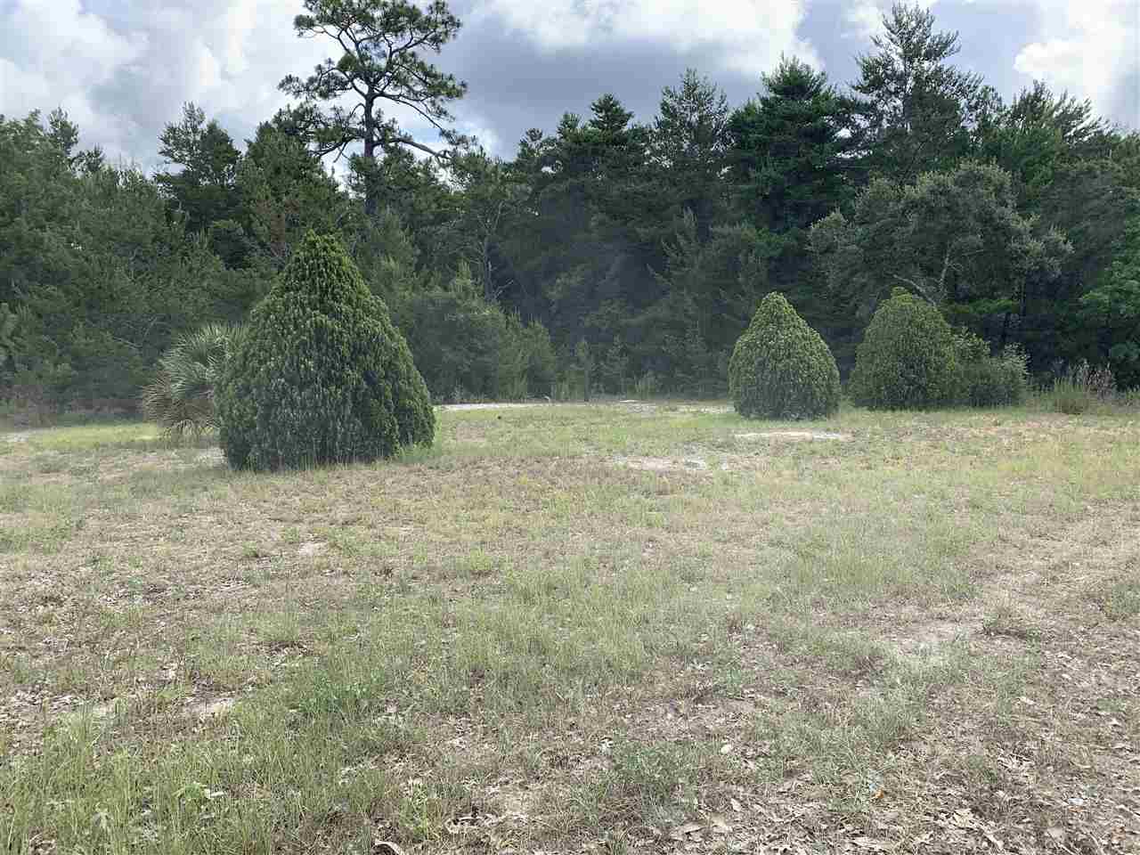 20828 Spoon Bill Road Perry, FL 32348 - Photo 7 of 7 Gallery Image 7