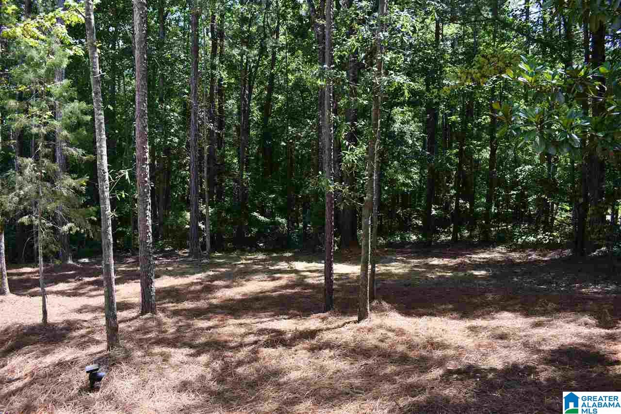 660 Crystal Cove Wedowee, AL 36278 - Photo 24 of 26