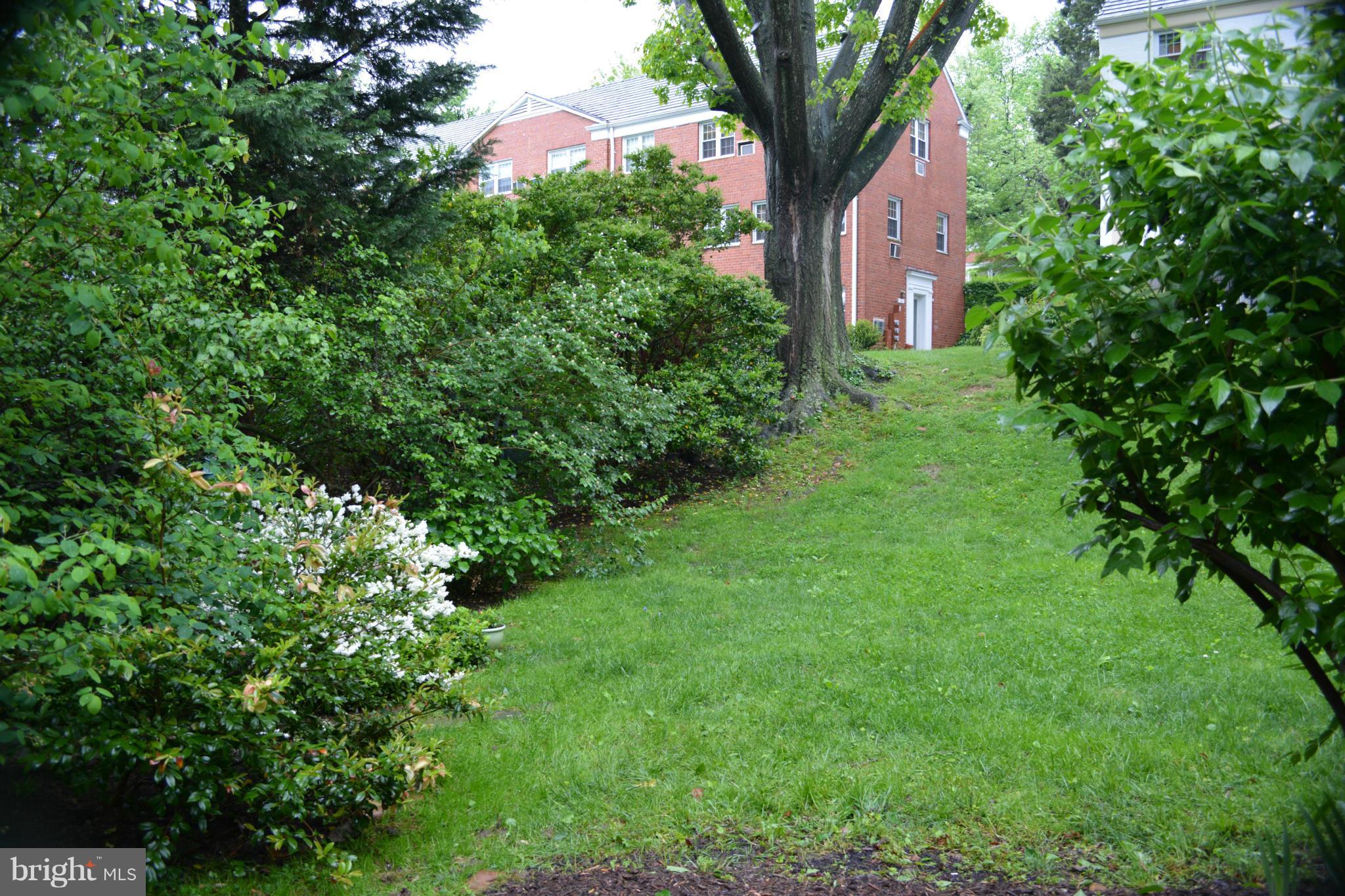 1739 Preston Road Alexandria, VA 22302 - Photo 12 of 30 Exterior (Rear)