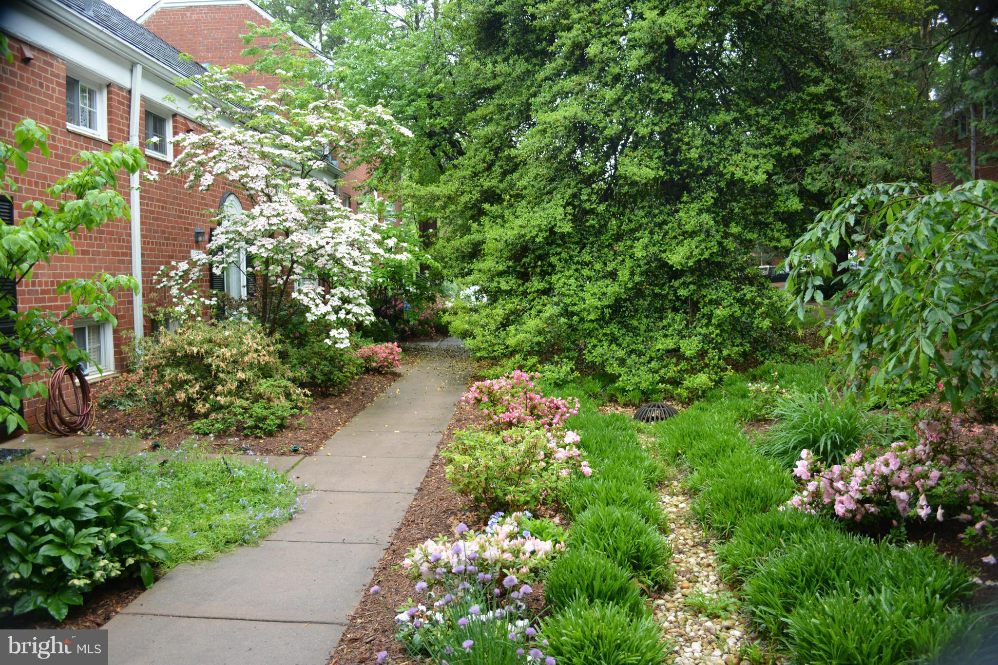 1739 Preston Road Alexandria, VA 22302 - Photo 30 of 30 Exterior (General)