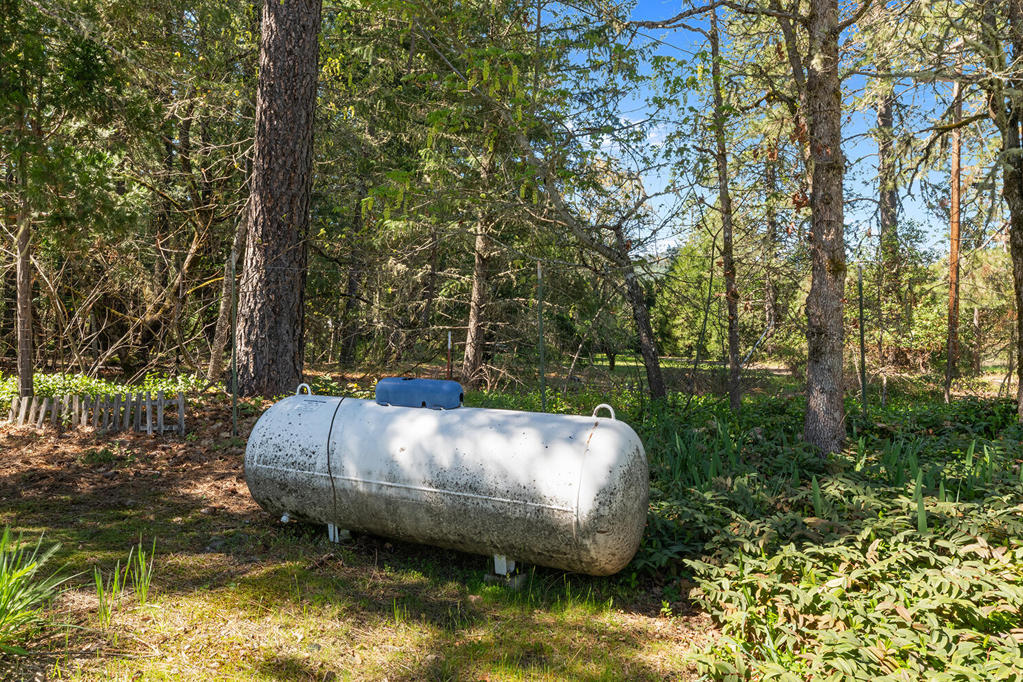 189 Finch Road Kerby, OR 97531 - Photo 20 of 22 DSC_0681