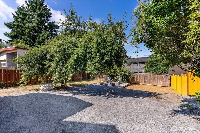 a view of a yard with plants