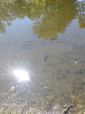 $979,000 | 412 Ruskey Lane, Hyde Park, NY 12538