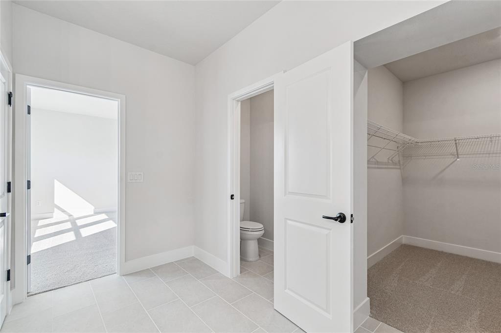 28796 Jujube Road Wesley Chapel, FL 33543 - Photo 27 of 53 Gallery Image 27