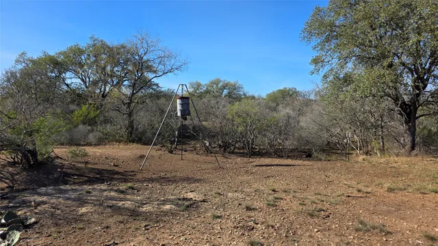 a view of a yard with a tree