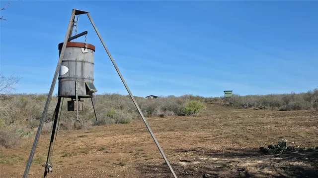 a view of a yard in front of a house