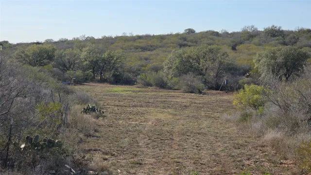 a view of a dry yard with trees in the background