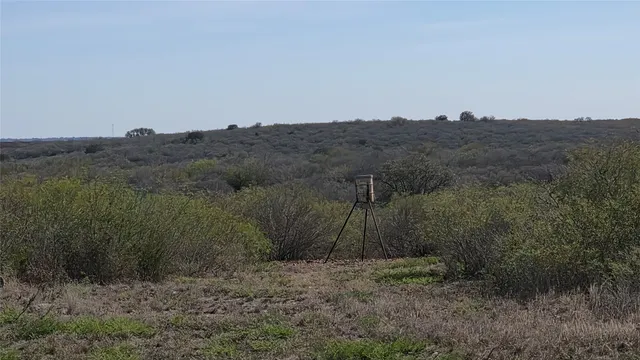 a view of a dry yard