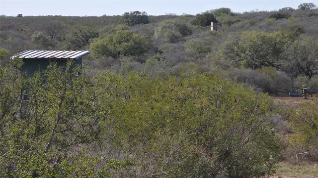 a view of a lake with a mountain in the background