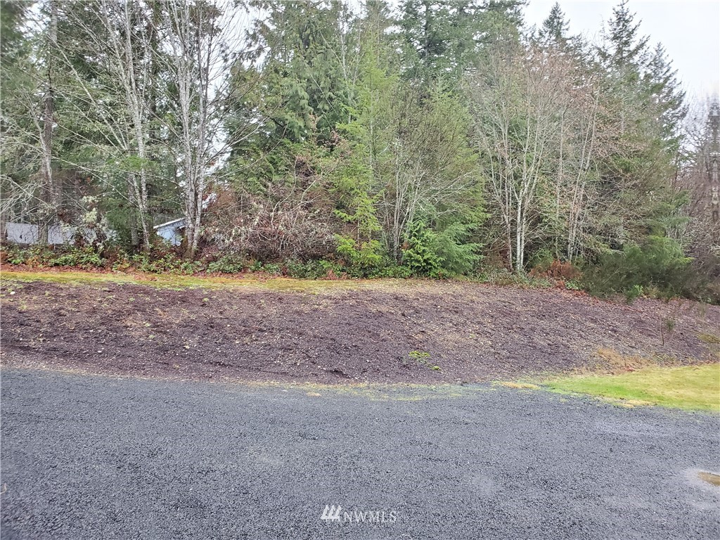 541 East Coulter Creek Road Belfair, WA 98528 - Photo 33 of 39 a view of a yard with a tree