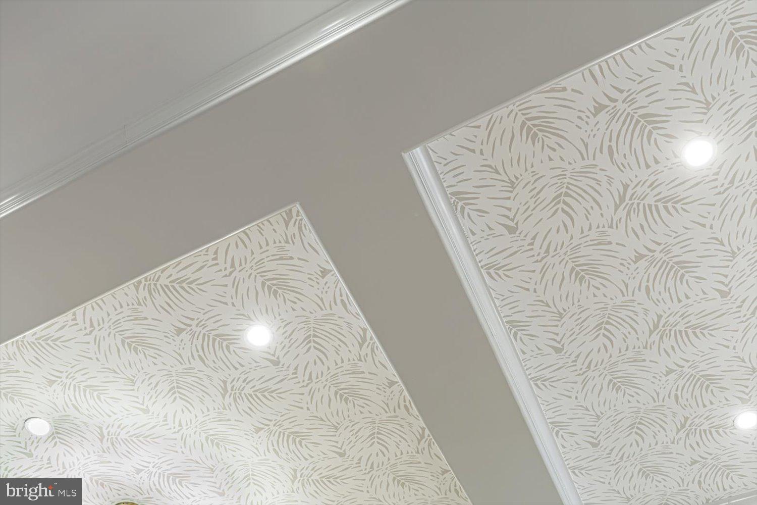 123 5th Street Northeast Washington, DC 20002 - Photo 17 of 77 Wallpaper on coffered ceiling