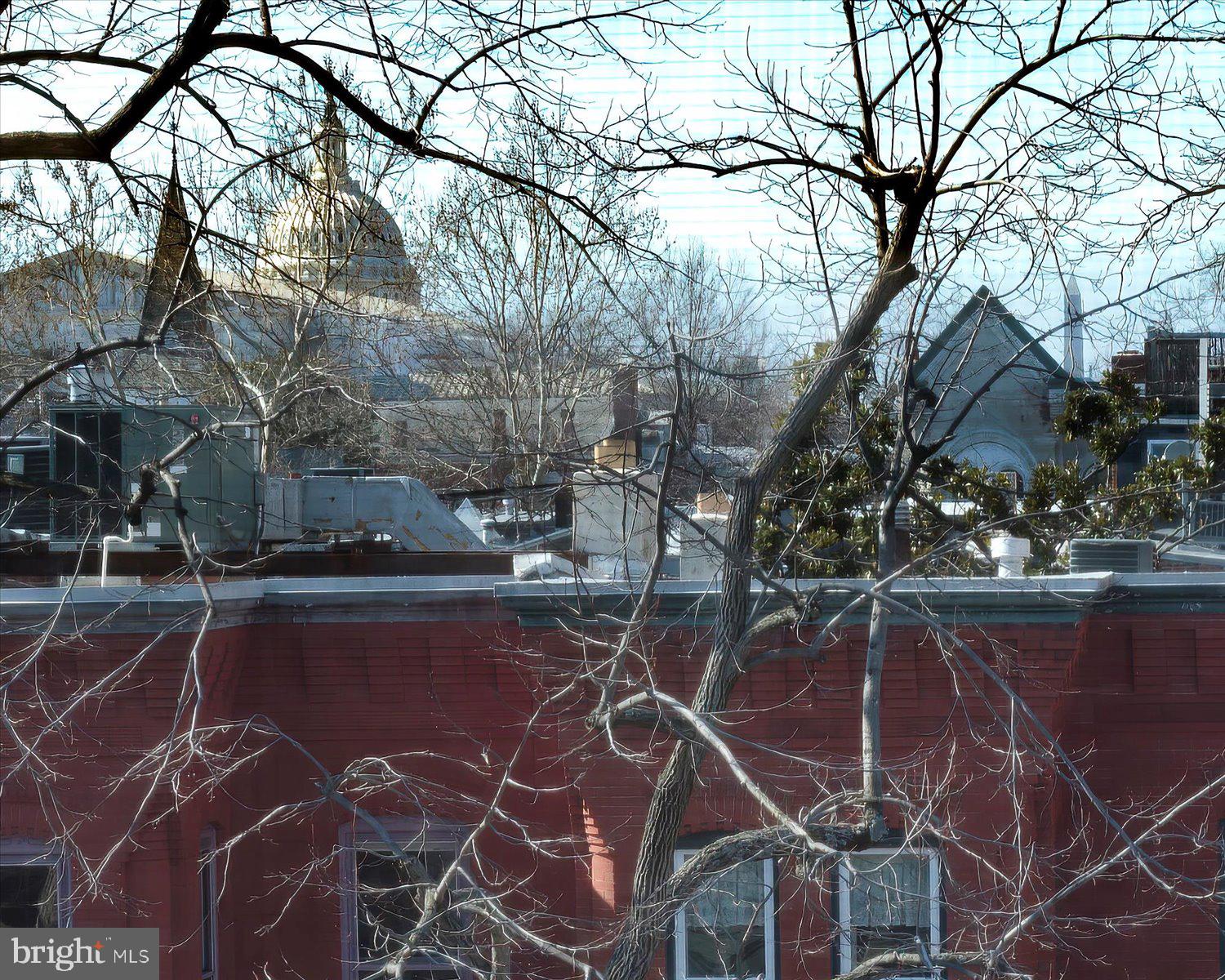 123 5th Street Northeast Washington, DC 20002 - Photo 59 of 77 The US Capitol dome in the distance!
