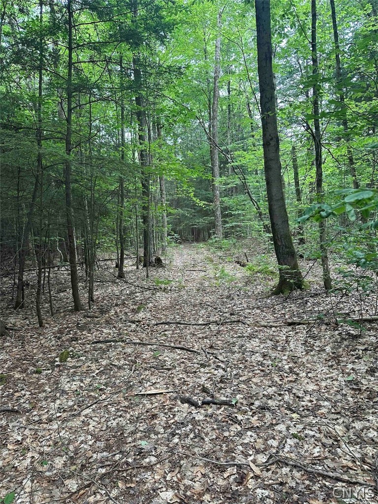 1501 Old State Road Colesville, NY 13833 - Photo 10 of 28