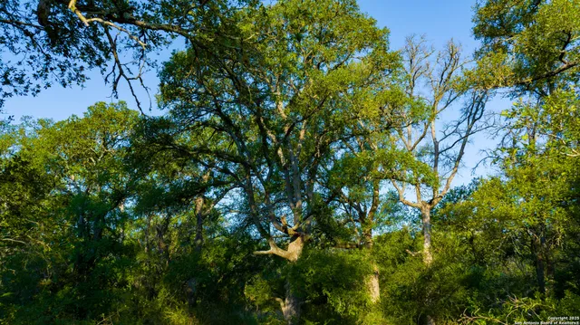 $8,900,000 | Undisclosed Address, Florence, TX 76527