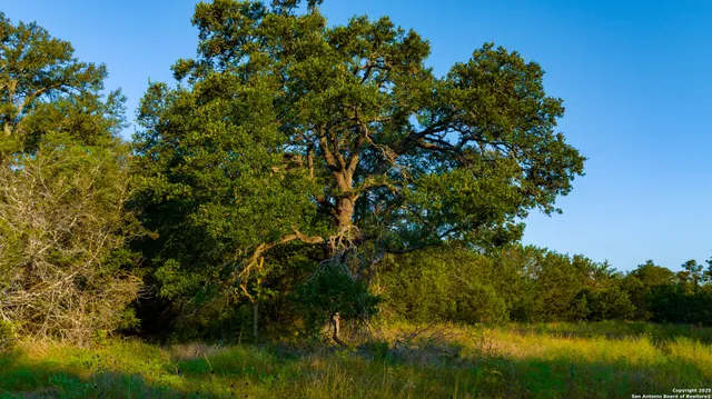 $8,900,000 | Undisclosed Address, Florence, TX 76527