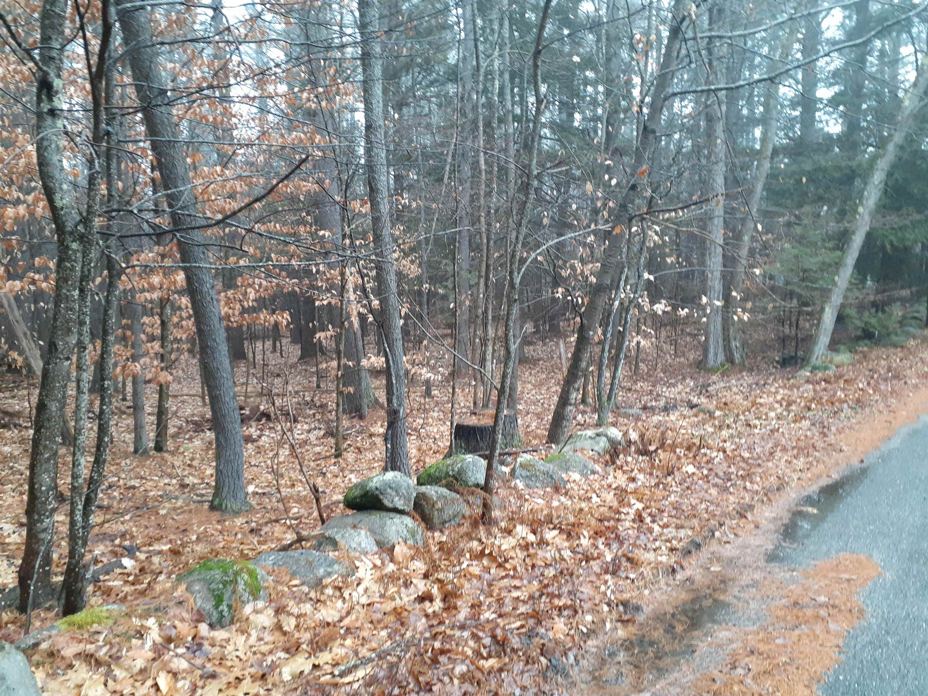0 Sand Hill Road Peterborough, NH 03458 - Photo 1 of 4 Gallery Image 1