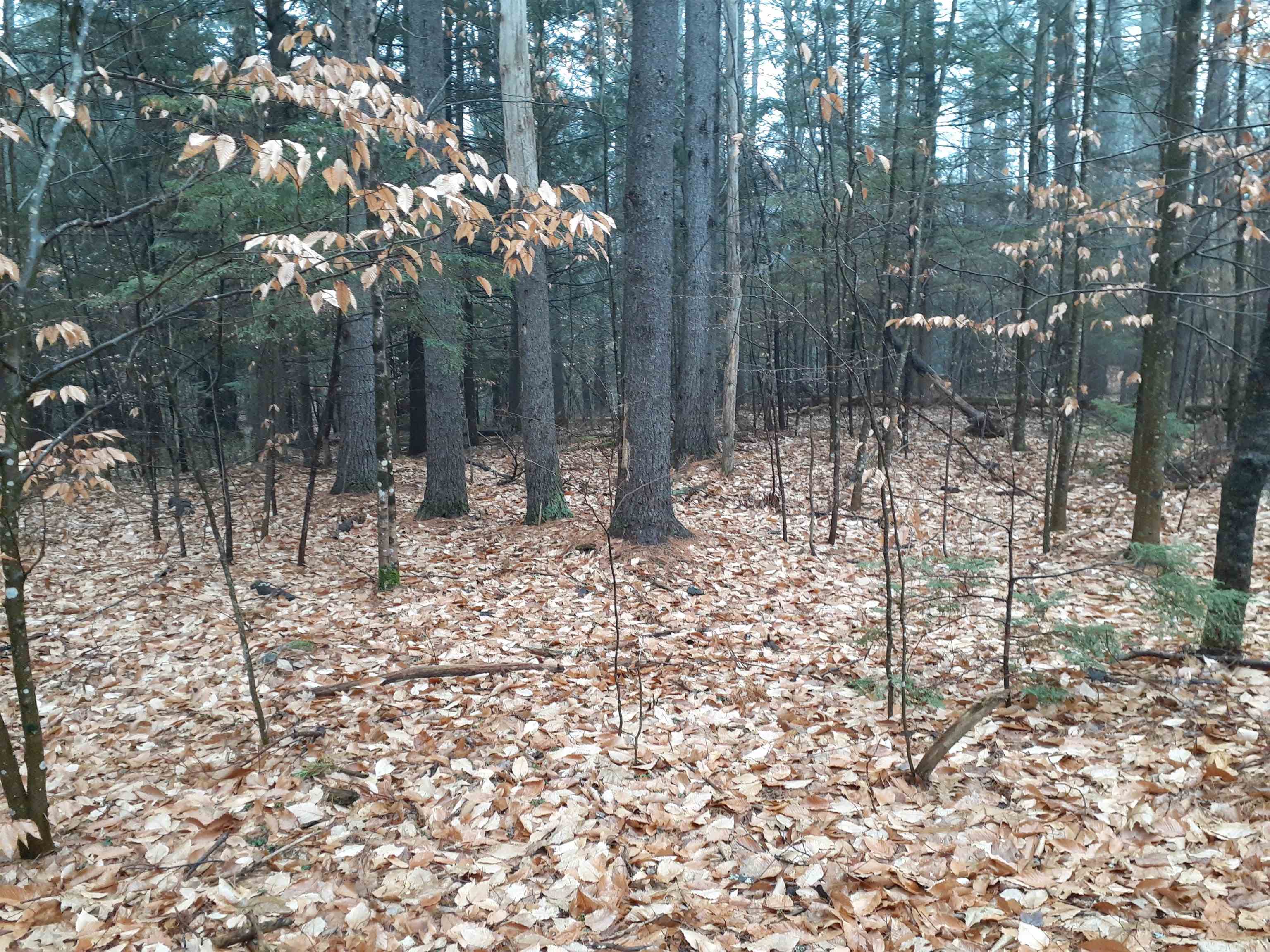 0 Sand Hill Road Peterborough, NH 03458 - Photo 2 of 4 Gallery Image 2