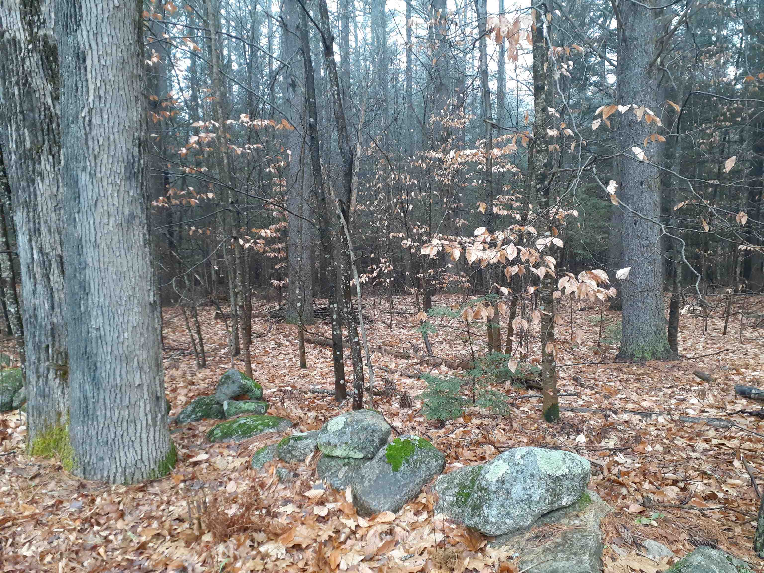 0 Sand Hill Road Peterborough, NH 03458 - Photo 3 of 4 Gallery Image 3