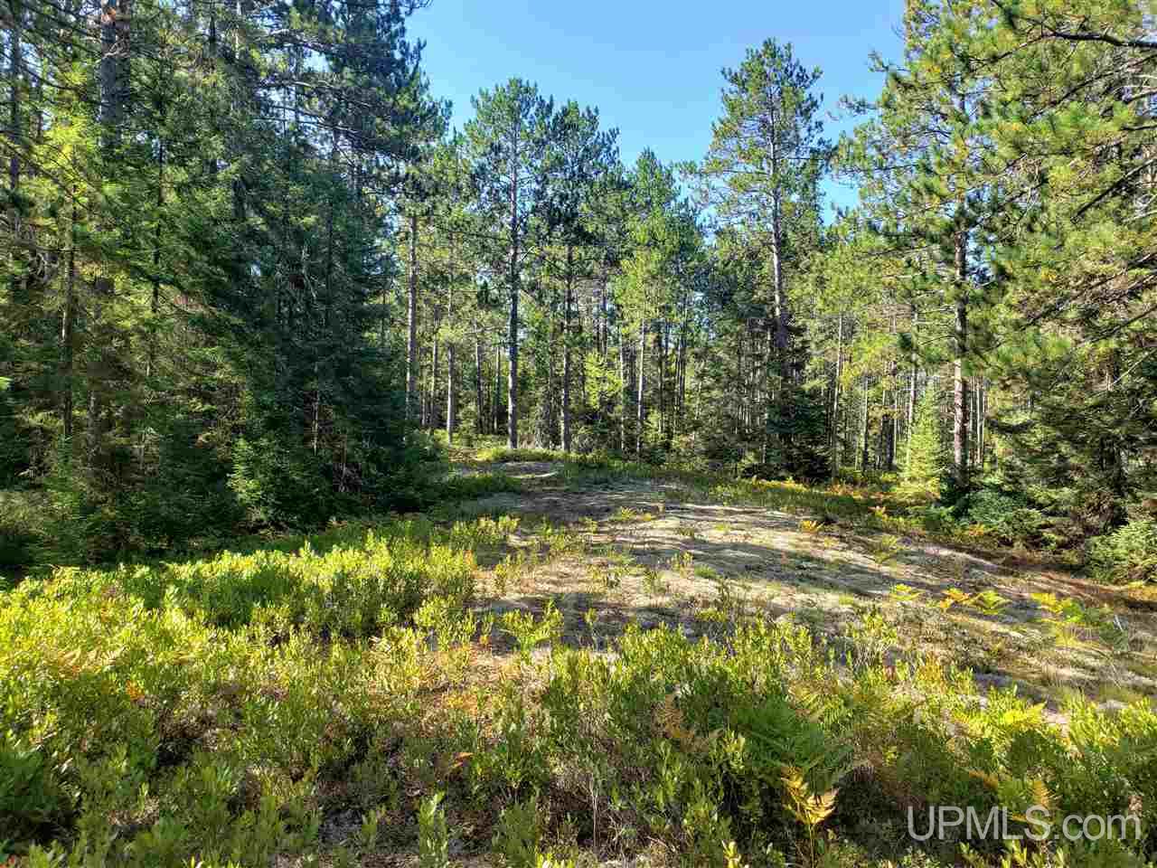 Tbd Little Rice Lake Road, Unit 54 Lake Linden, MI 49945 - Photo 2 of 15 Gallery Image 2