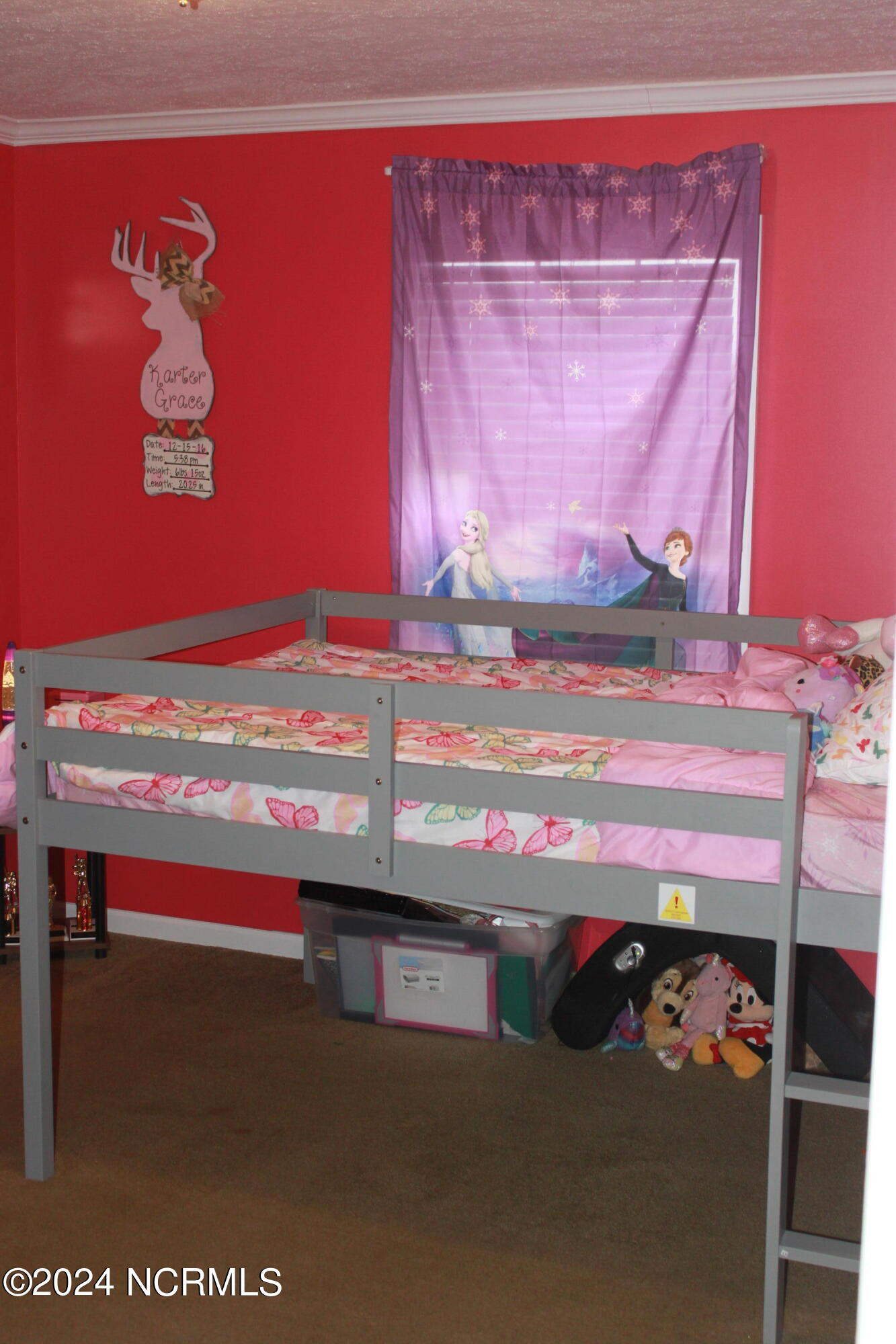 111 New Road Windsor, NC 27983 - Photo 10 of 47 IMG_2258