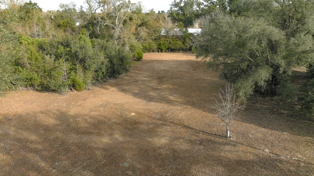18799 Roy Golden Road Blountstown, FL 32424 - Photo 3 of 51