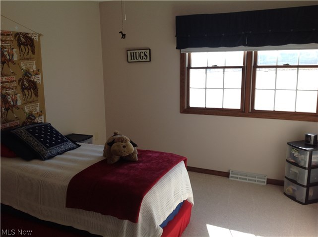 4242 Maple Grove Road Wooster, OH 44691 - Photo 16 of 22 Gallery Image 16