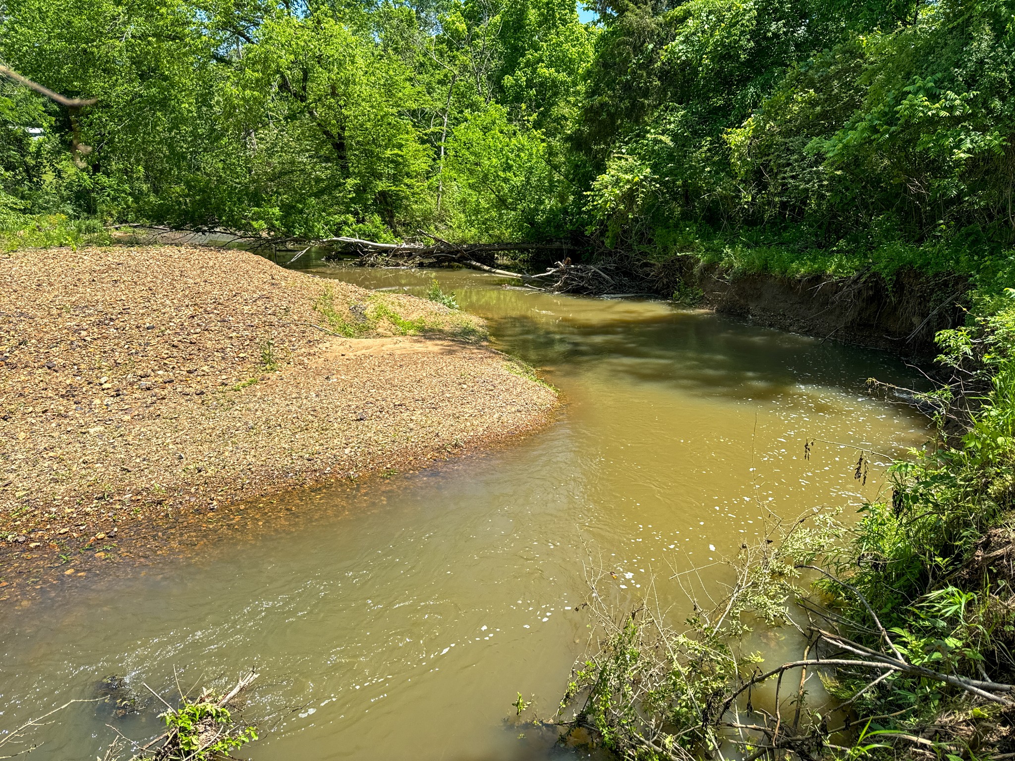 0 Mays Town Road Parsons, TN 38363 - Photo 11 of 34 Gallery Image 11