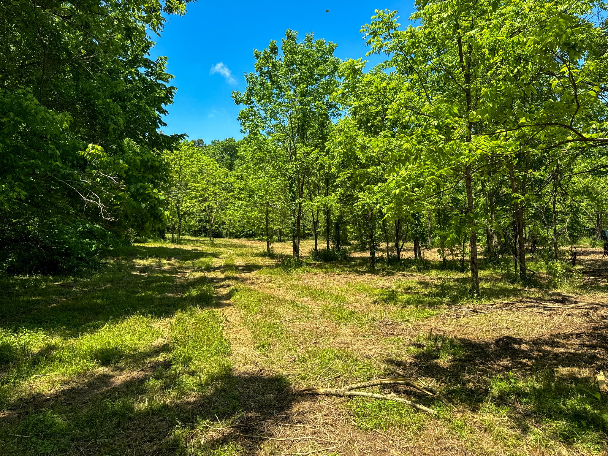 0 Mays Town Road Parsons, TN 38363 - Photo 22 of 34 Gallery Image 22