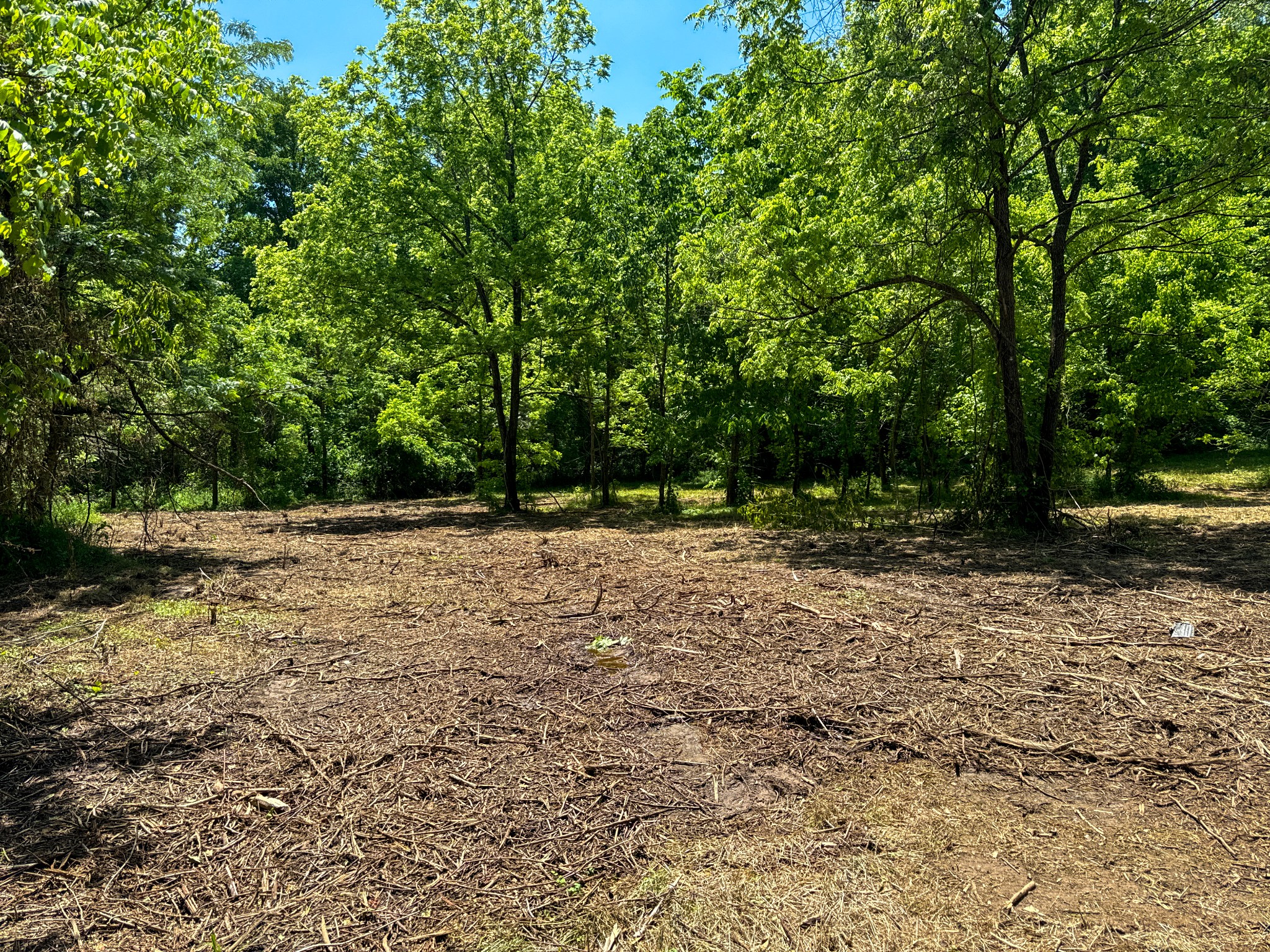 0 Mays Town Road Parsons, TN 38363 - Photo 24 of 34 Gallery Image 24