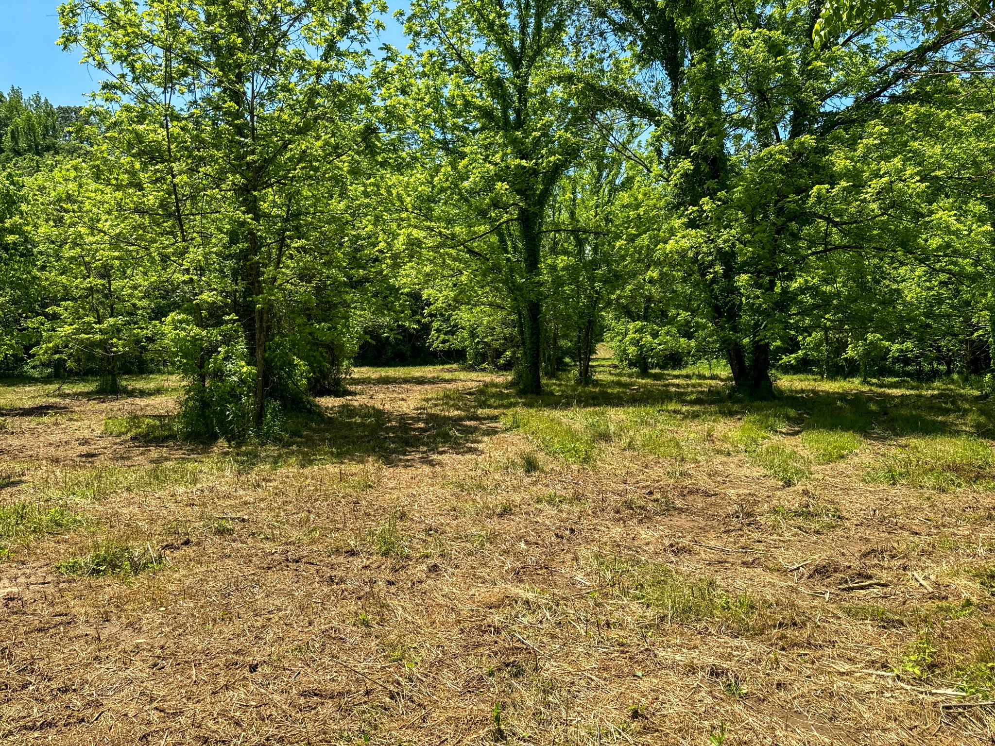 0 Mays Town Road Parsons, TN 38363 - Photo 26 of 34 Gallery Image 26