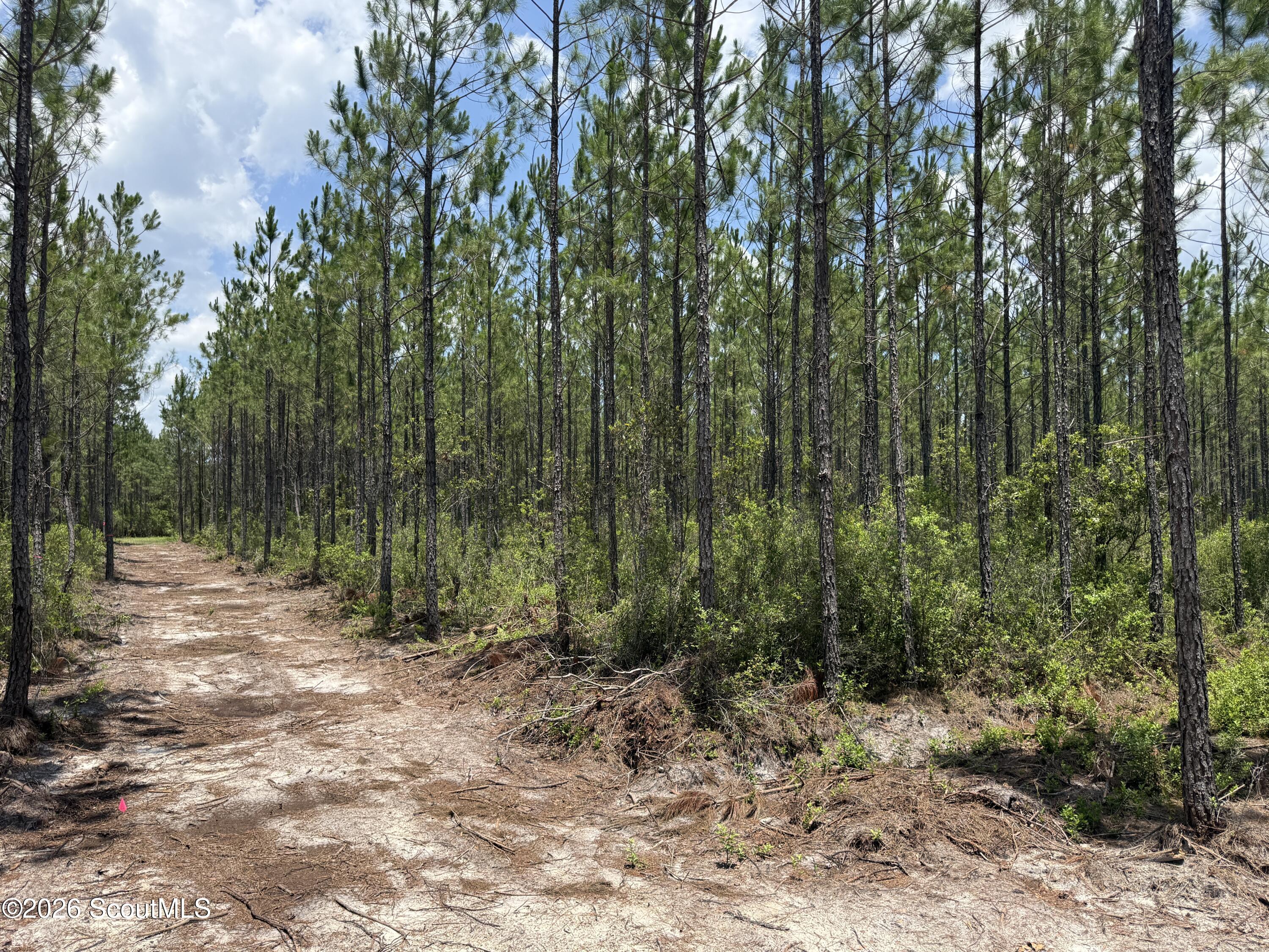 Lot 6 Corbitt Road, Unit LOT 6 Manor, GA 31550 - Photo 13 of 15 IMG_8026