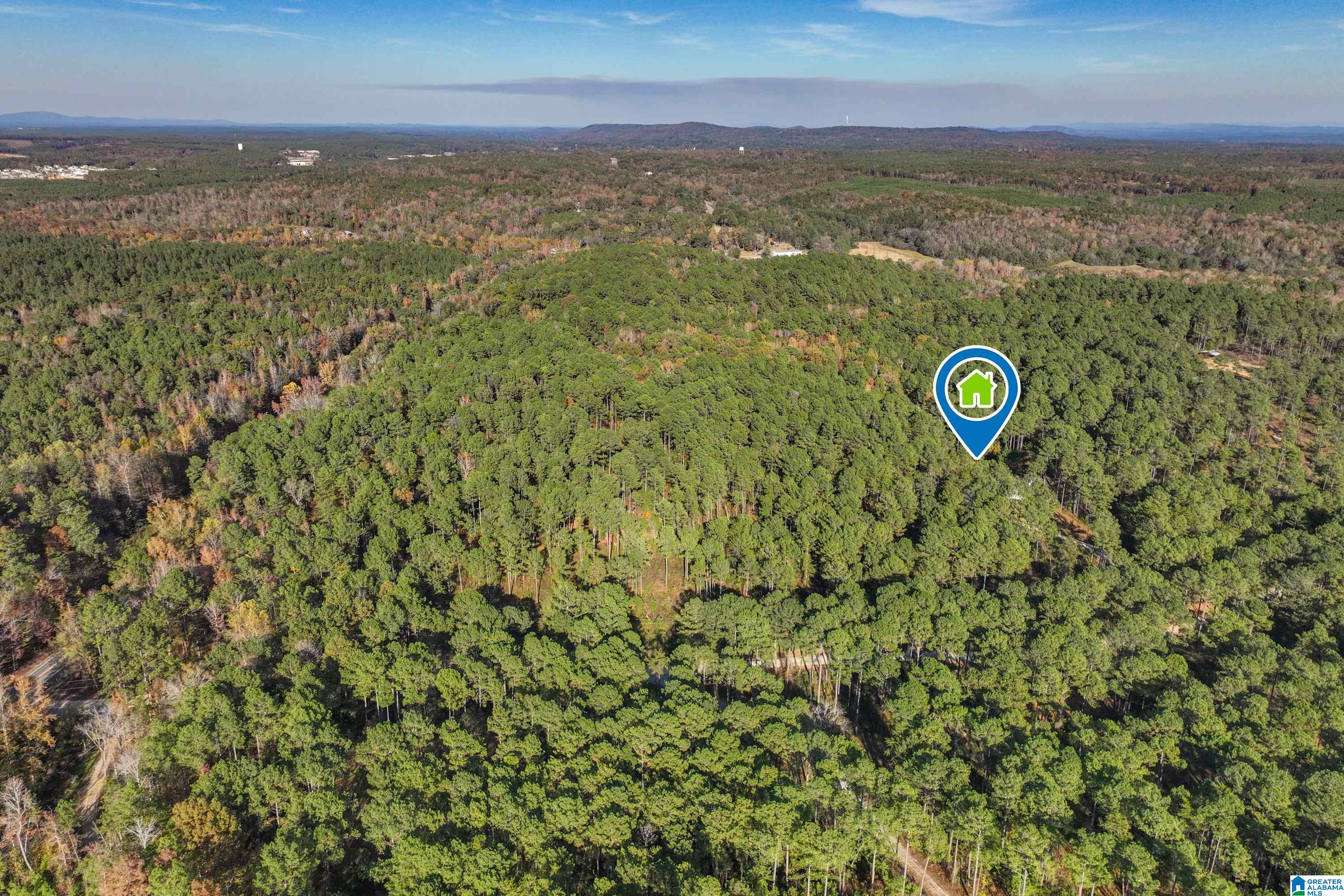 203 Gould Road Columbiana, AL 35051 - Photo 52 of 56