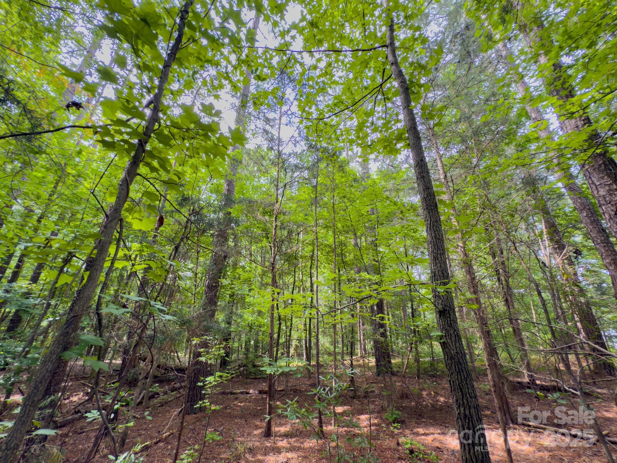0 Powell Avenue Lancaster, SC 29720 - Photo 12 of 26 a view of outdoor space and garden