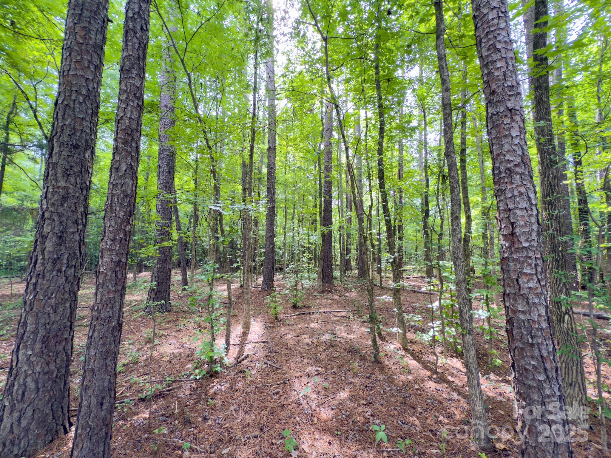 0 Powell Avenue Lancaster, SC 29720 - Photo 13 of 26 a view of outdoor space and garden