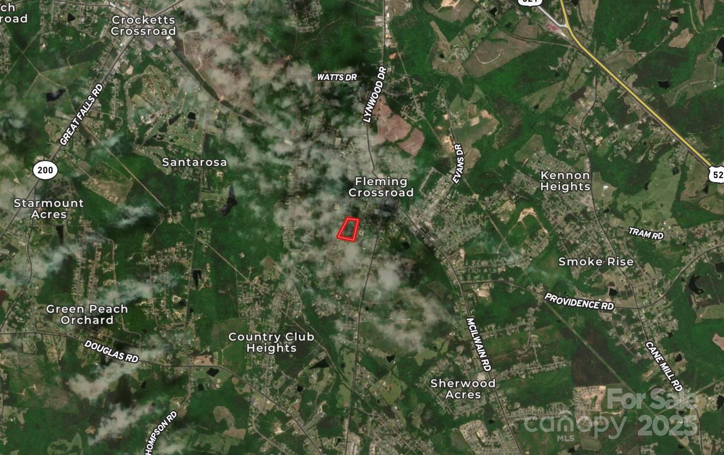 0 Powell Avenue Lancaster, SC 29720 - Photo 24 of 26 a close up of a plant in a garden