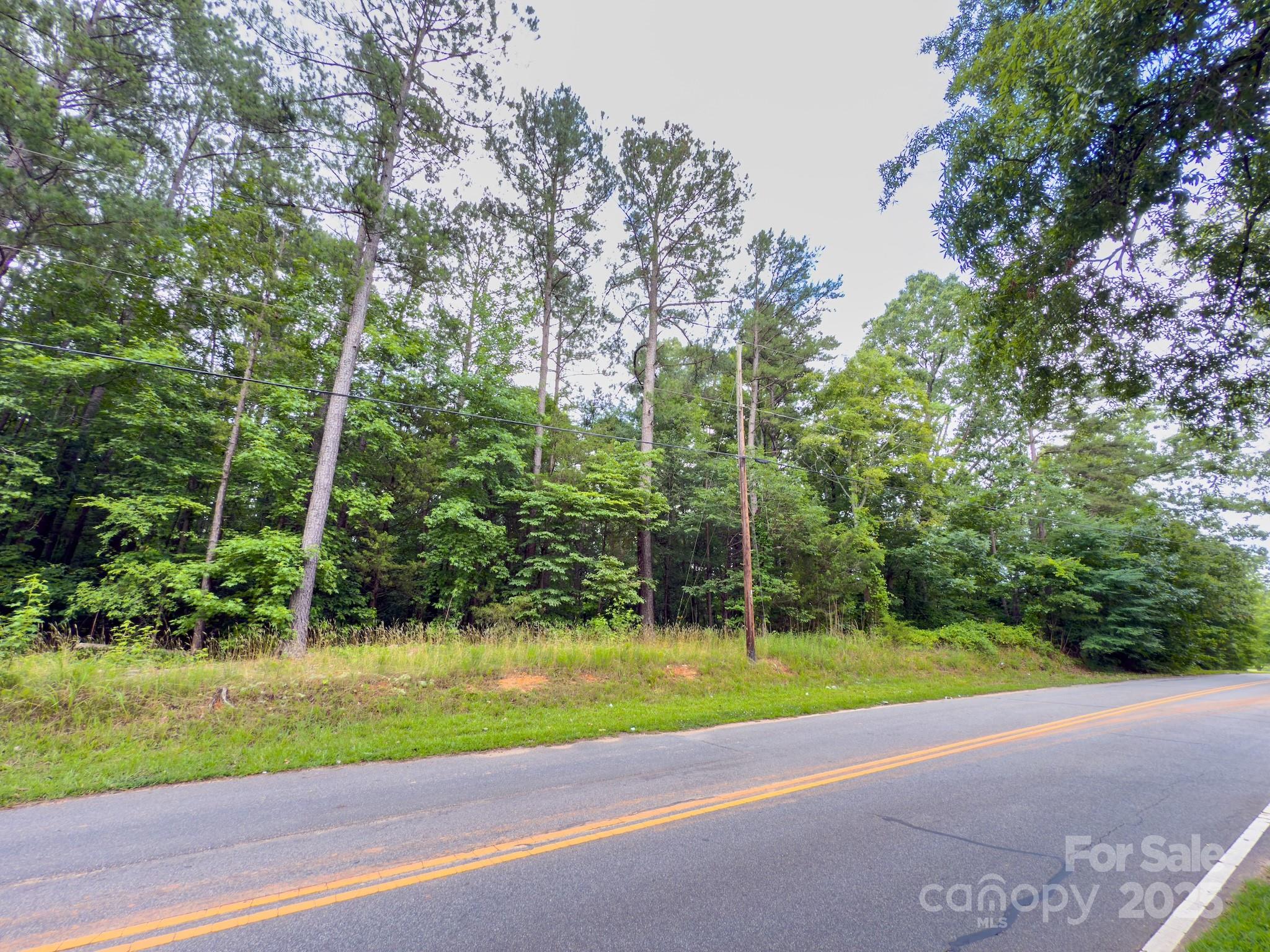 0 Powell Avenue Lancaster, SC 29720 - Photo 5 of 26 a view of a park with large trees
