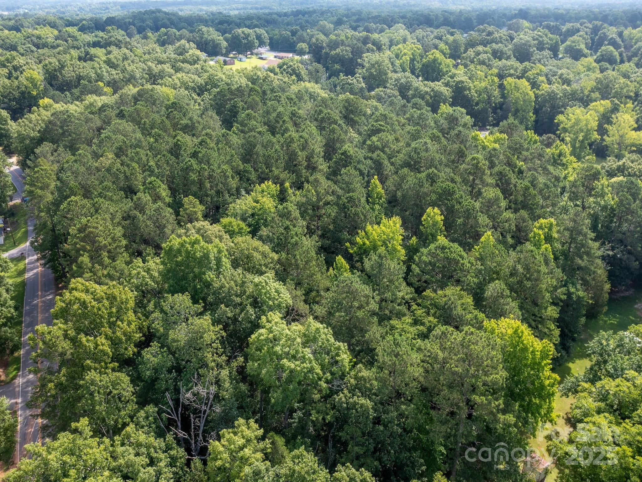0 Powell Avenue Lancaster, SC 29720 - Photo 8 of 26 an aerial view of a houses with a yard