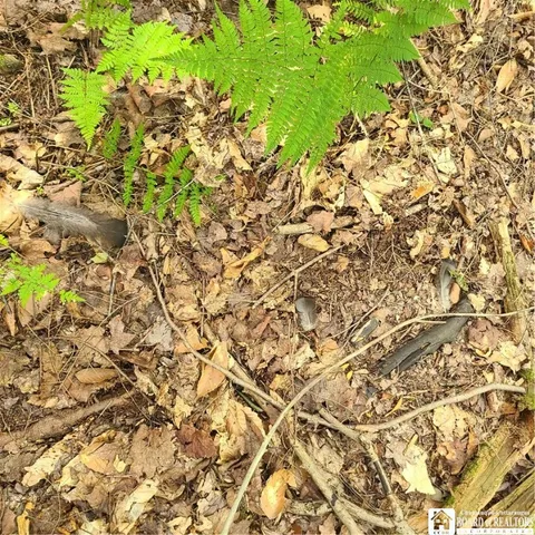 $159,900 | 1-lot B Bowen Road, Randolph, NY 14772