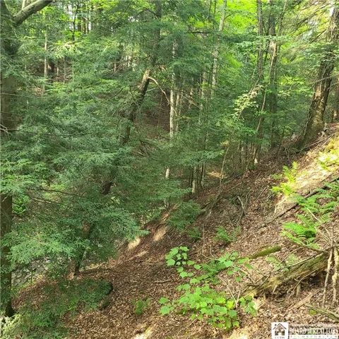 $159,900 | 1-lot B Bowen Road, Randolph, NY 14772